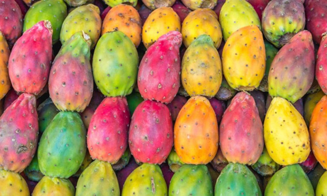 Beauty Benefits Of Prickly Pear Seed Oil